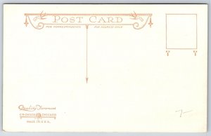 Marengo Illinois~Zion Lutheran Church & School~Children in Yard~c1910 CR Childs