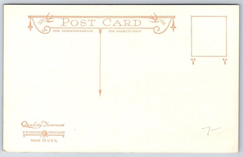 Marengo Illinois~Zion Lutheran Church & School~Children in Yard~c1910 CR Childs