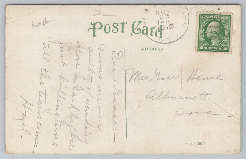 Waterloo Iowa~Washington Park~Pavilion In Distance~Pathways~Vintage Postcard