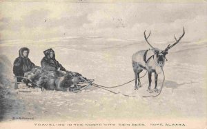 Reindeer Two Person Sled Nome Alaska Goetze 1908 postcard