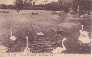 France Lyon Parc de la Tete d'Or Les Cygnes 1904