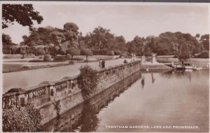 Trentham Gardens Lady Examining Boat Staffordshire Real Photo Postcard