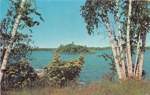 US4 US Minnesota lake scenic white birch 1972