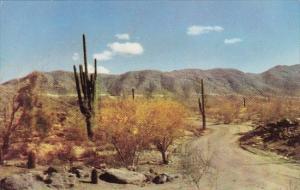 South Mountain Park Phoenix Arizona