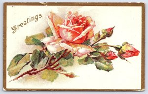 1910's Greetings Red Orange Beautiful Roses Souvenir Card Posted Postcard