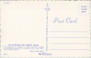 The Bluenose Bar Harbor Maine ME Unused Vintage Postcard F17