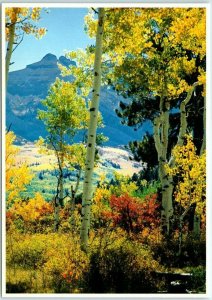 Postcard - Autumn in the Rockies