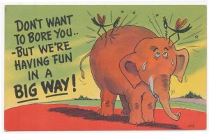 Postcard Elephant Mosquito Don't Want To Bore You We're Having Fun In A Big Way