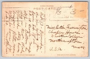 Hand Colored  Bermuda   Royal Palms  Postcard