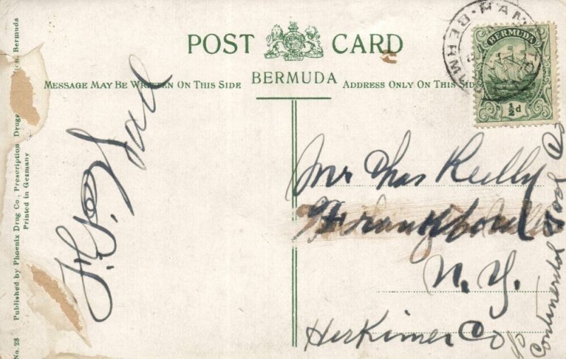 bermuda, A Bunch of Bananas, Fruits (1910s) Postcard