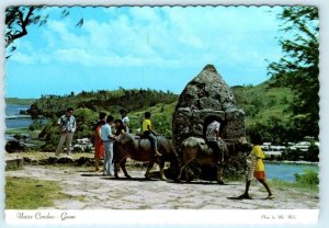 GUAM ~ Sentry House FORT SOLEDAD Carabao - Water Buffalo c1970s ~ 4x6 Postcard