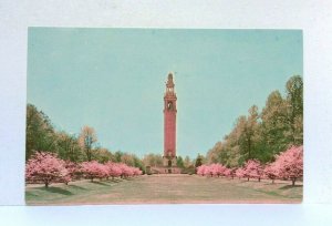 Richmond Virginia War Memorial Postcard 