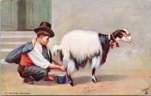 Maltese Milkman Boy Milking Goat Malta Tuck c1906 w Malta Stamps Postcard G60