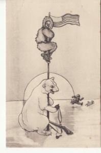 POLAR BEAR  / EXPLORERS USA FLAG patriotic postcard GUN