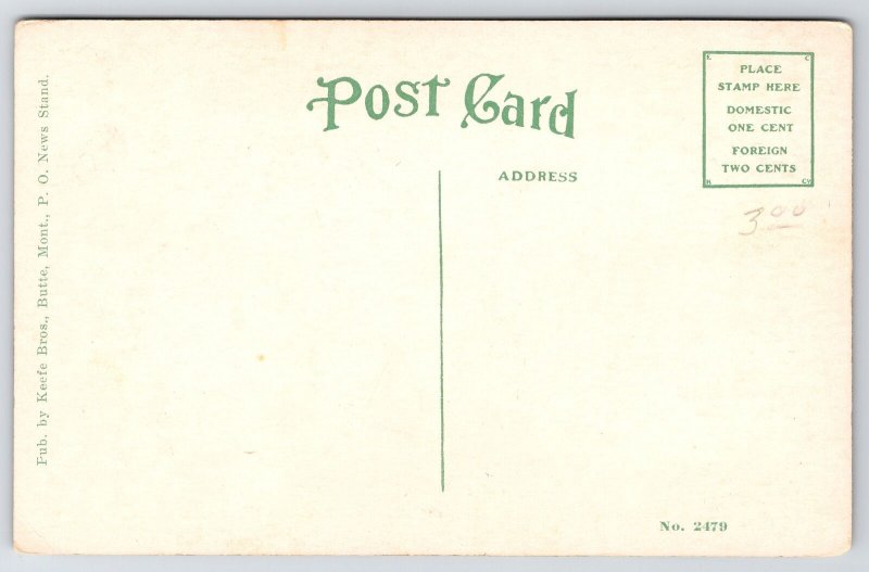 Butte MT Hennesy's PM Store~Drug Store w/Patent Medicines~Line of Electric Poles 