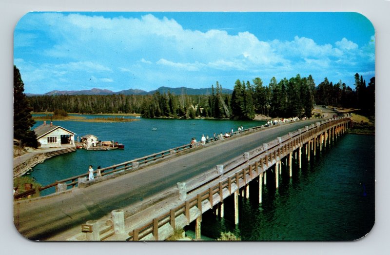 Yellowstone National Park Wyoming Yellowstone River Scenic Chrome Postcard