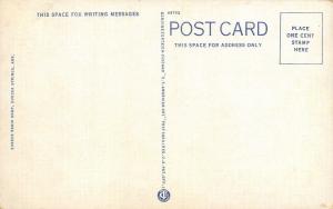 Eureka Springs Arkansas 1940s Postcard Pivot Rock 