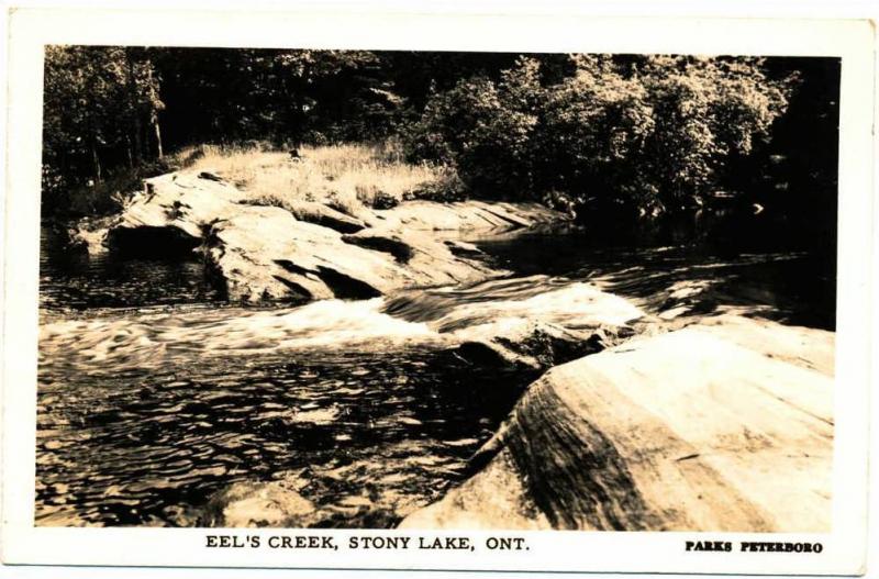 STONY LAKE ON - Eel's Creek Real Photo Postcard rppc - 1954