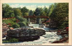 postcard West Virginia - Scene in Babcock State Park on Route US 60