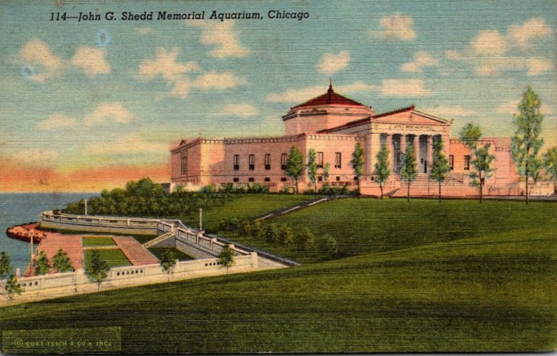 Illinois Chicago Grant Park John G Shedd Aquarium Curteich