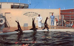 Captain Harold Winston's sea lions Marineland California  