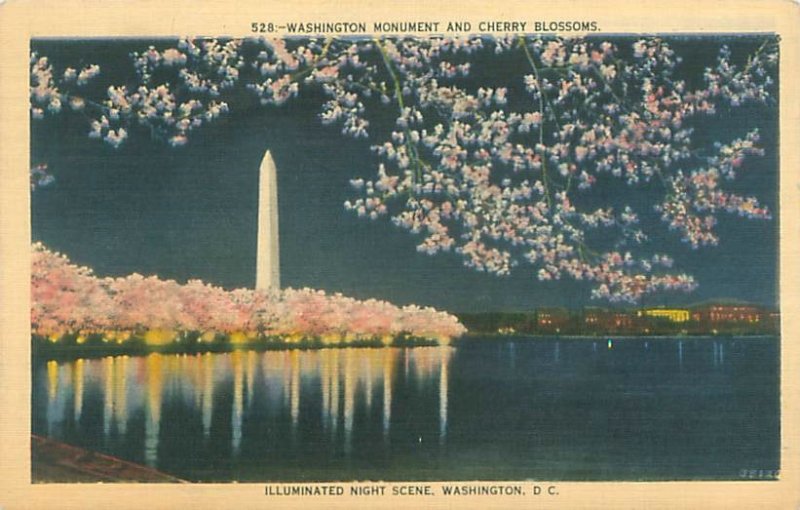 Washington DC Washington Monument Night Scene  Cherry Blossoms Linen Postcard