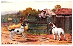 Dog , Terrier, and Hog