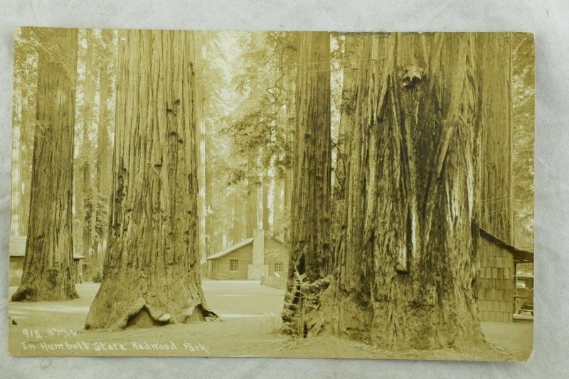 C.1910 RPPC Cabins, Humbolt State Redwood Park Vintage Postcard P101