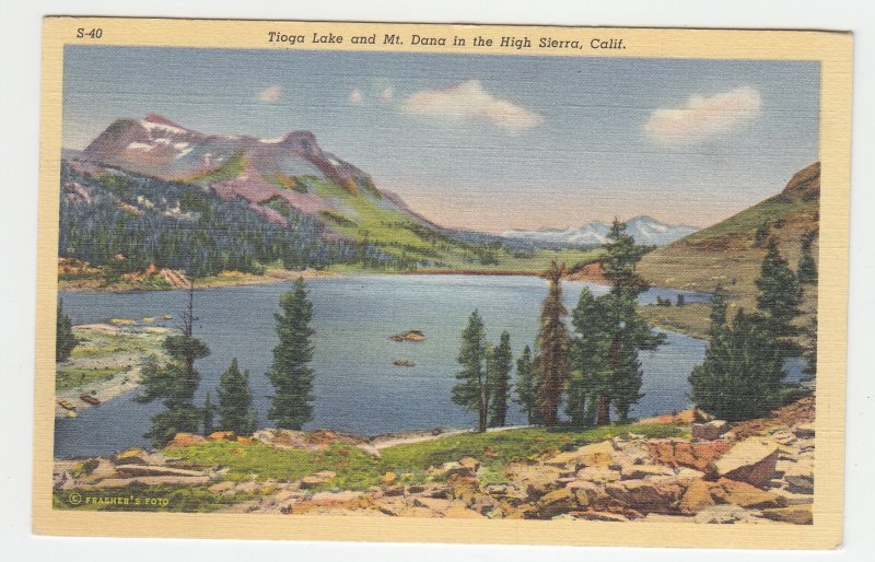 P2182 vintage postcard tioga lake & mt dana the high sierra calif