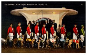 Floriida Miami West Flagler Kennel Club Grethounds on Parade