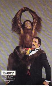 Bobby Berosini's Orangutans at the Stardust Hotel