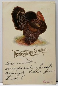 Thanksgiving Greeting Embossed Turkey 1906 New Haven to Stepney Conn Postcard A6