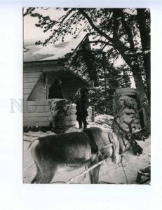 201912 FINLAND Lapland cottage of Ounas fells Deer photo RPPC