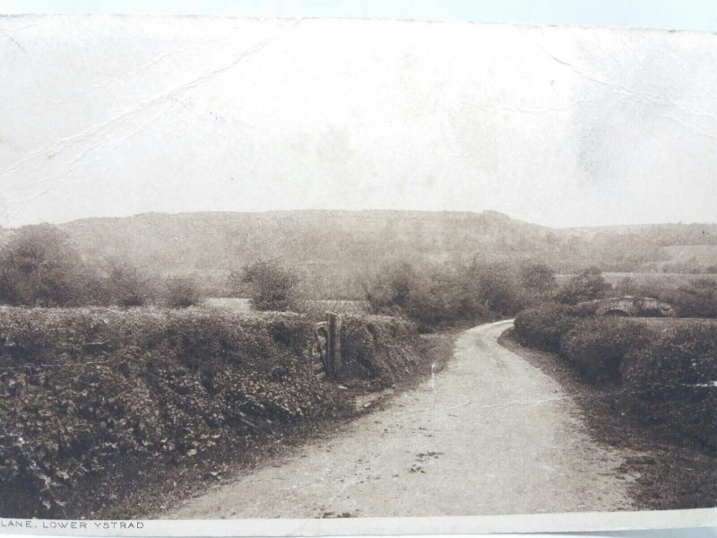 Country Lane Lower Ystrad Cardiganshire Antique Vintage Postcard