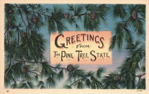 Vintage Postcard Greetings From The Pine Tree State Maine Loring Short & Harmon