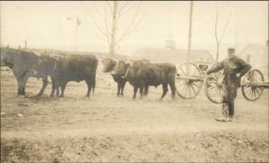 Southern Pines or Sand Hill NC? Man w/ Oxen Team c1910 Unidentified RPPC