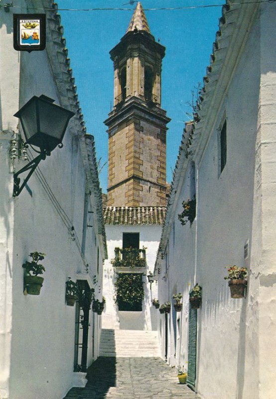 (3 cards) Streets of Estepona, Spain