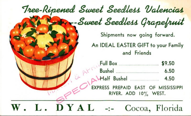 Florida Cocoa W L Dyal Citrus Order Form Card 1984