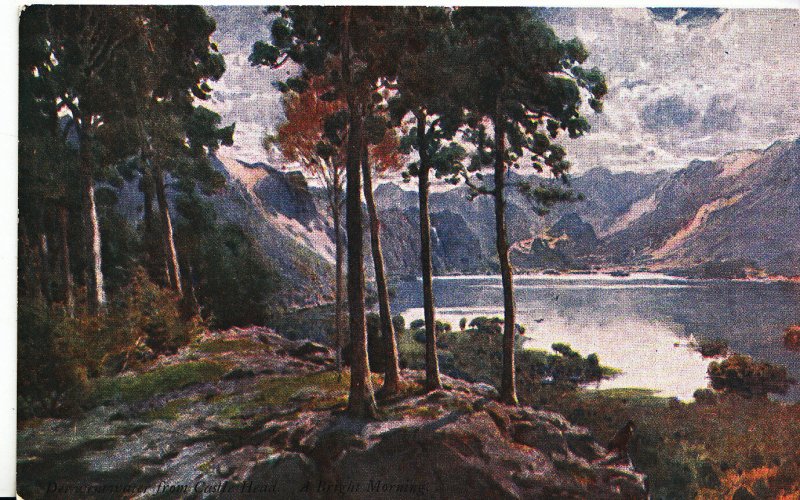 Cumbria Postcard - Derwent Water from Castle Head - A Bright Morning   EE813