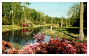 Postcard PARK SCENE Biloxi Mississippi MS AR2840