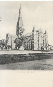 Wiltshire Postcard - Salisbury Cathedral - Ref TZ3231