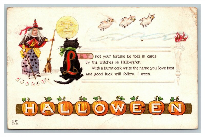 Scarce 1910's Halloween Postcard Witch Telling Fortune Black Cat Owls Moon Cards