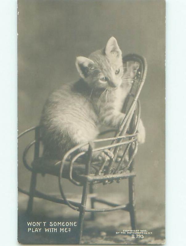 rppc Pre-1907 KITTEN CAT SITTING ON LITTLE TOY CHAIR AC8025