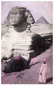 The Great Sphinx Egypt Postcard