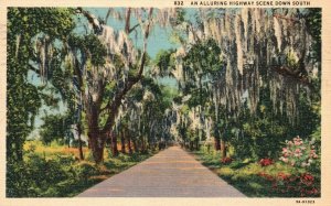 Vintage Postcard 1941 An Alluring Highway Scene Down South Asheville Post Card