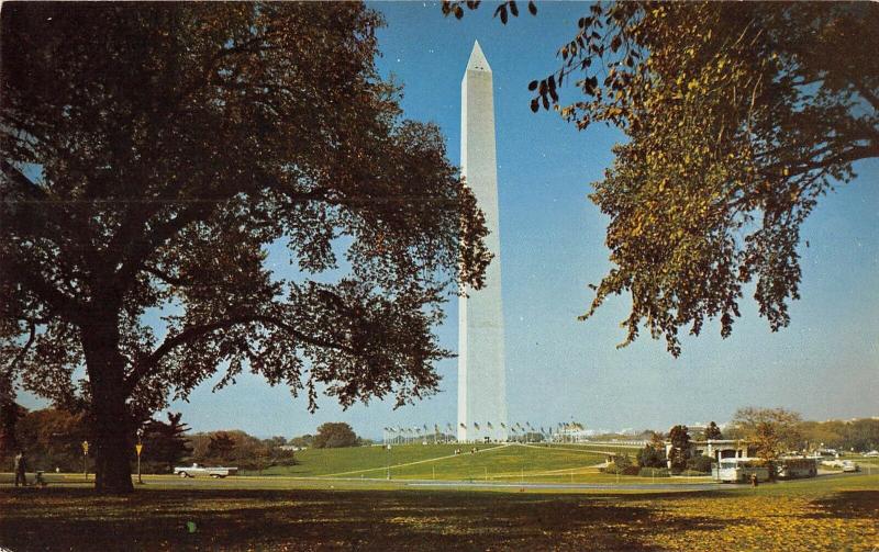 BR102040 washington monument dc beauiful trees and lawns   usa