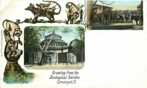 Postcard C-1905 Ohio Cincinnati Zoological Gardens undivided 23-13600