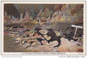 New Mexico Carlsbad Lily Pads And Toad Stools Carlsbad Caverns