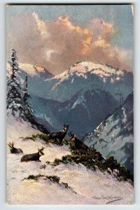 Mountain Goats Snow Covered Postcard Signed Muller Wildlife HKM 419 Germany