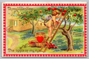 Postcard Cherub Ladder Picking Apple Hearts From Tree Valentine Apple of My Eye